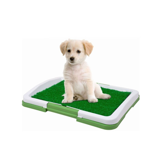 Toptan Köpek Tuvalet Eğitimi Seti
